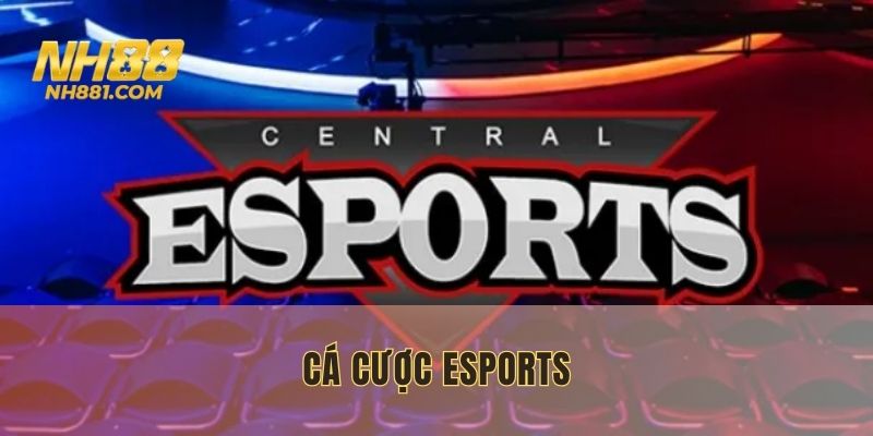 cá cược esports