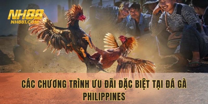 Các ưu đãi đặc biệt tại sảnh đá gà Philippines NH88